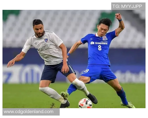 2019年町田泽维亚对阵福冈黄蜂精彩赛事回顾与分析 2019年町田泽维亚对阵福冈黄蜂精彩赛事回顾与分析