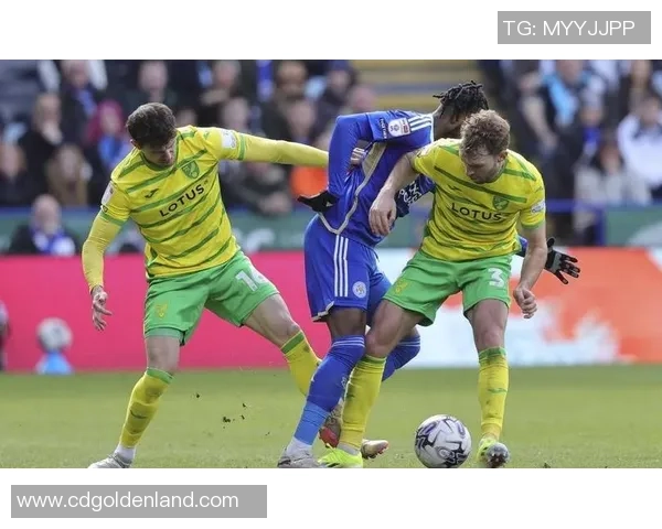 布里斯托尔城与谢周三激战在即谁将赢得这场英冠对决的胜利